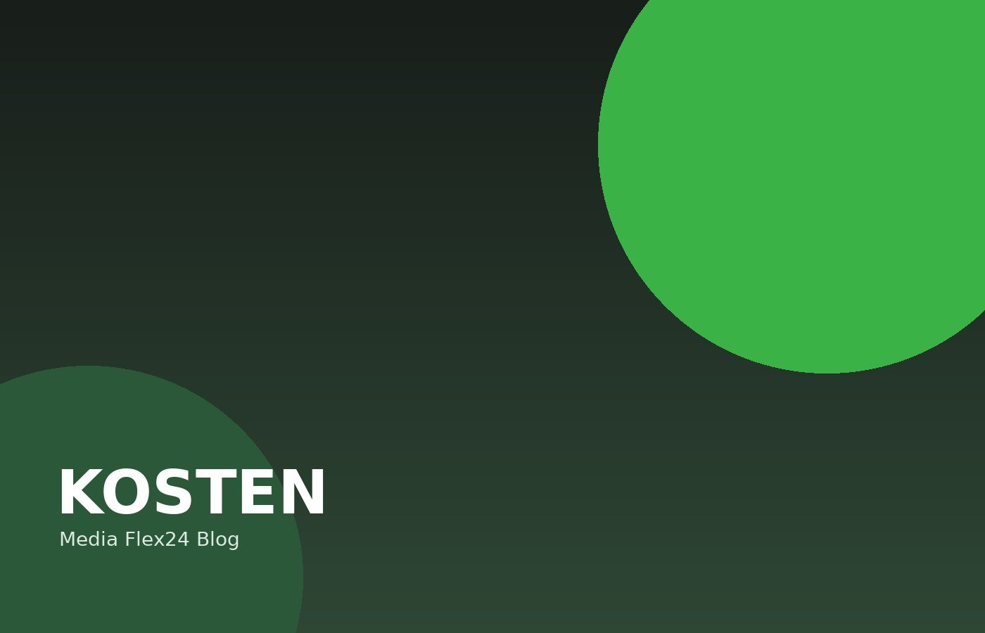 Was kostet eine professionelle Webseite?