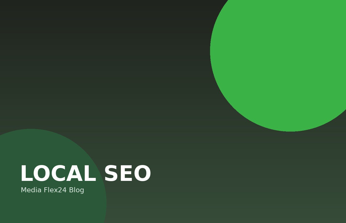Lokales SEO für Detmold, Lemgo & Lippe